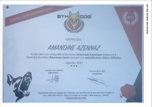 Diplôme spécialisation chien difficiles