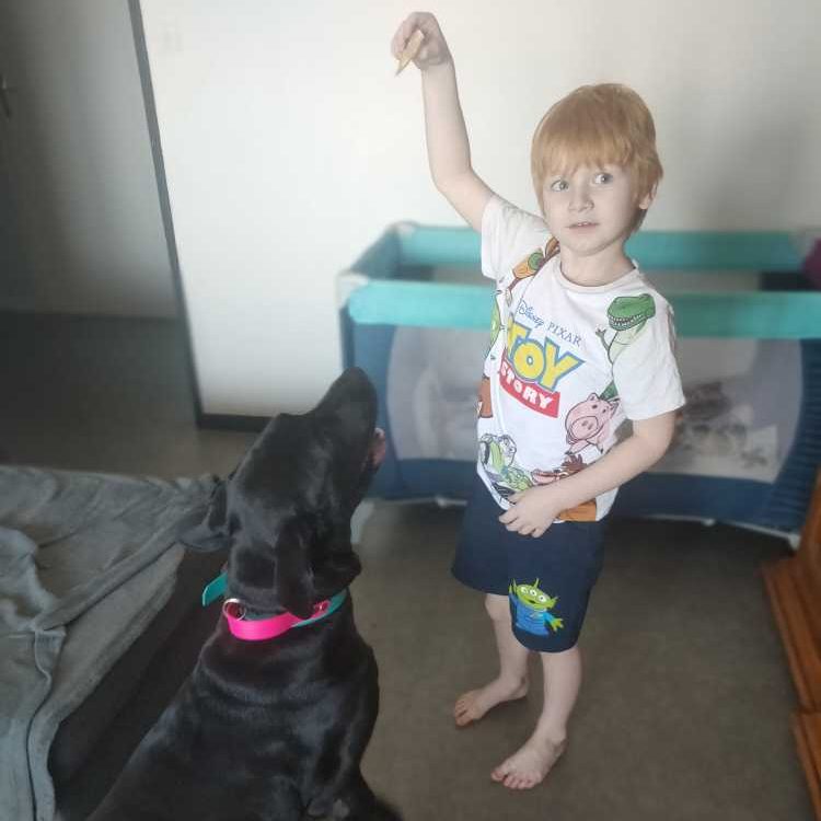 Chien jouant avec un enfant